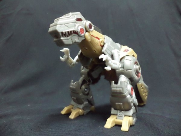 Transformers Generataion Fall Of Cybertron Grimlock More In Hand Image  (9 of 18)